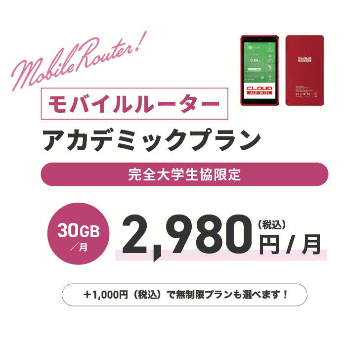 30GB/月が2,980円（税込）